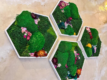 Hexagonal Moss Wall Art, Honeycomb Moss Wood Hexagon, 2 of 12