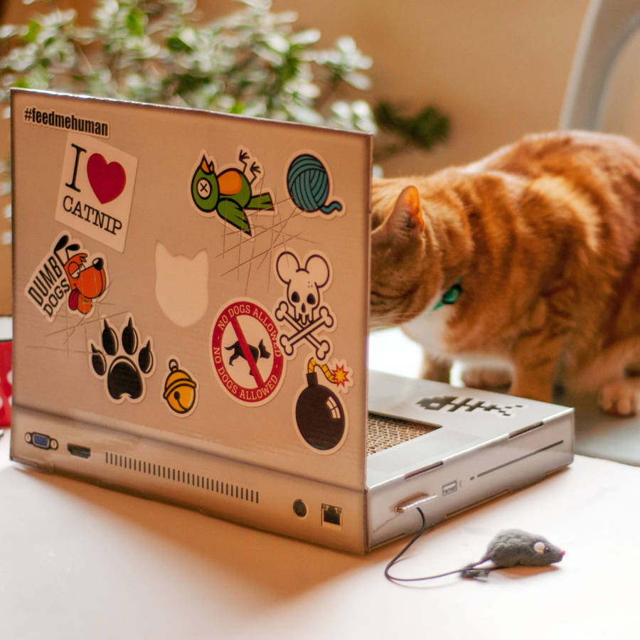 Cat Scratch Laptop, 1 of 2