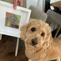 Personalised Pet Portrait Framed Knitted Art, thumbnail 6 of 10