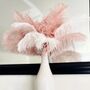 Large 30 To 35cm Imitation Ostrich Feathers, thumbnail 2 of 12