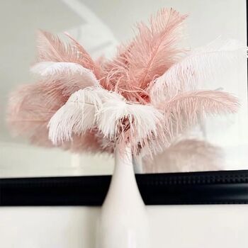 Large 30 To 35cm Imitation Ostrich Feathers, 2 of 12