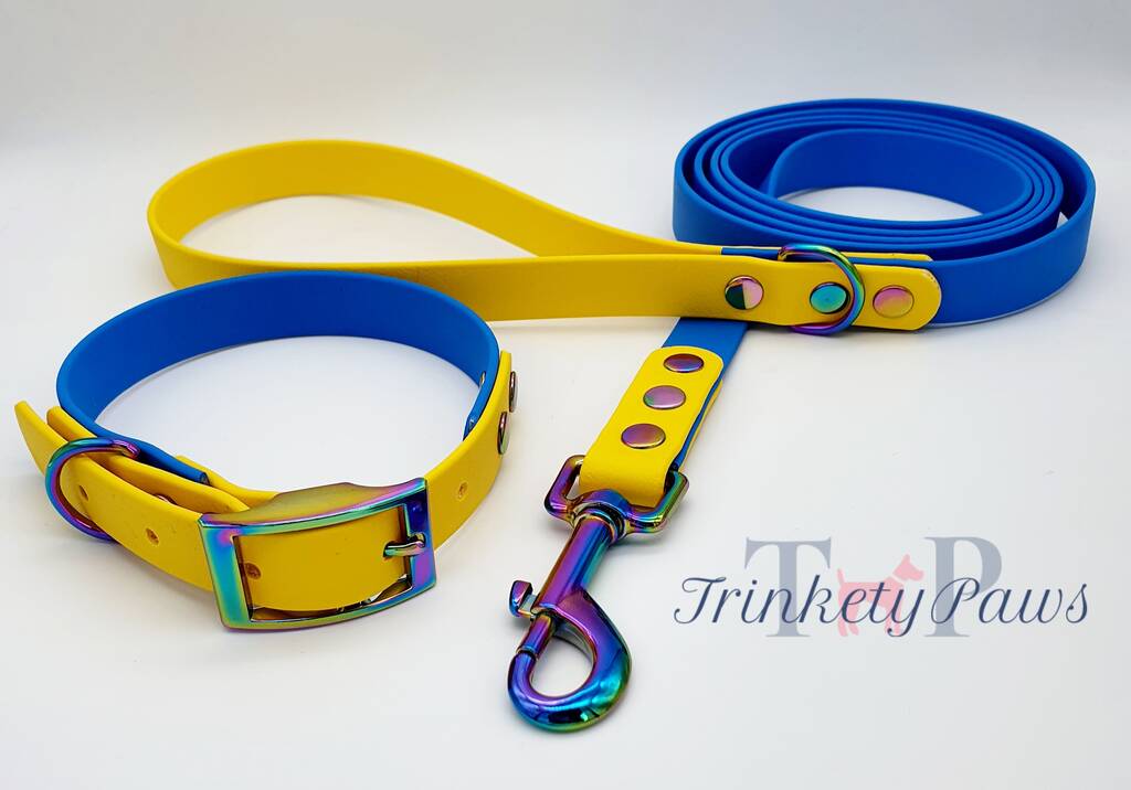 biothane dog leash