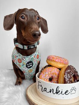 Iced Doughnuts And Coffee Dog Collar With Optional Set, 8 of 10