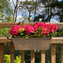 Pair Of Zesty Zinc Balcony Flower And Herb Planters, thumbnail 1 of 6