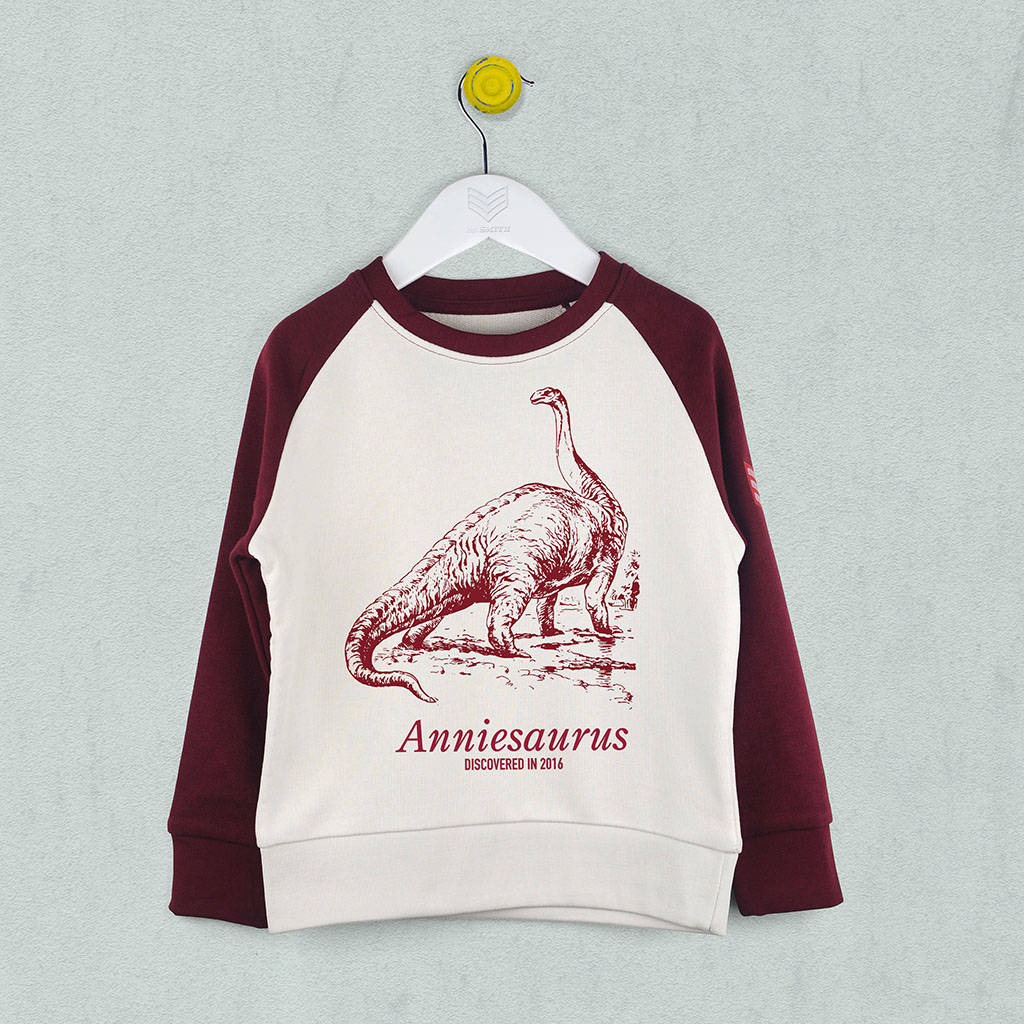 Personalised Dinosaur Kids Sweatshirt Jumper By Sgt.Smith