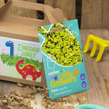 Dinosaur Jungle Seed Kit: Grow Your Own, Kids Party Bag, 4 of 8