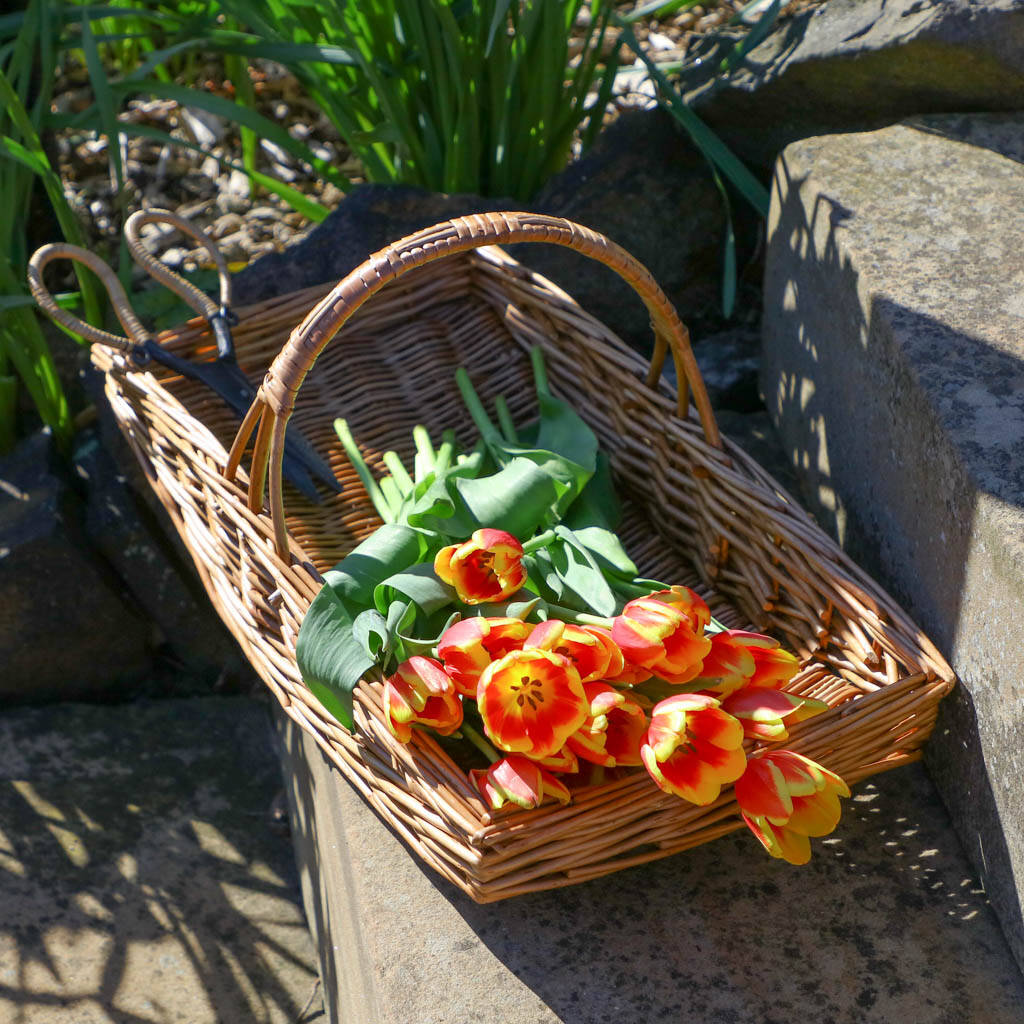 Natural Willow Wicker Gardening Basket By Dibor