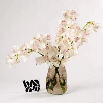 Porcelain White Cymbidium Fresh Flower Bouquet, 2 of 2