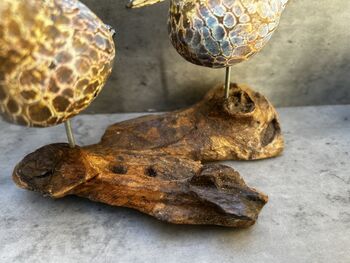 Colourful Hand Carved Wooden Birds On Teak Root Stand, 9 of 12