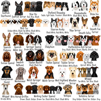 Dog Breed ID Tag Personalised Realistic Illustrations, 8 of 12