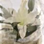 Personalised Floral Lily In Bubble Balloon, thumbnail 6 of 8
