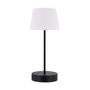 Table Lamp Tall LED Usb Rechargeable Use Anywhere, thumbnail 2 of 12