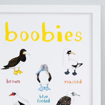 'Boobies' Illustrated Bird Art Print, 3 of 3