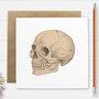 Anatomical Skull Illustration Greetings Card, thumbnail 1 of 4