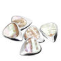 Titanium And Greenlip Abalone Guitar Pick + Gift Box, thumbnail 8 of 8