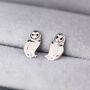 Barn Owl Stud Earrings In Sterling Silver, thumbnail 2 of 11