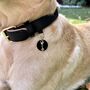 Eternity Pet Collar Charm, thumbnail 2 of 3