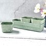 Wildflower Windowsill Garden Kit With Seeds And Pots, thumbnail 3 of 9