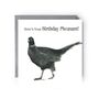 Here’s Your Birthday – Pheasant Greeting Card, thumbnail 1 of 5