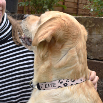 Leopard Print Personalised Dog Collar, 2 of 3