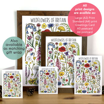 Wildflowers Of Britain Wrapping Paper Set, 11 of 11