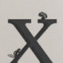 X Is For Xerus, Alphabet Card, thumbnail 2 of 3