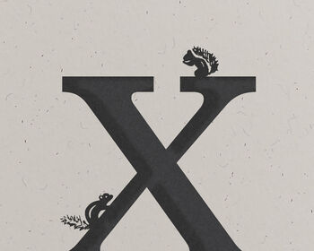 X Is For Xerus, Alphabet Card, 2 of 3