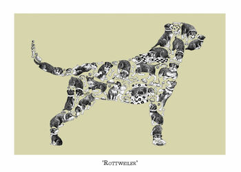 Rottweiler Print, 2 of 4