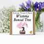 Gardening Gift. Grow Your Own Wisteria Bonsai Tree, thumbnail 2 of 5