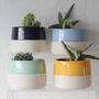 'Happy Happy Happy' Ceramic Indoor Plant Pot, thumbnail 5 of 8