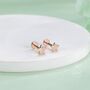 Tiny Star Internally Threaded Flat Back Earrings In Sterling Silver, thumbnail 5 of 11