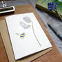 Sweet Pea And Bee Any Occasion Greetings Card, thumbnail 8 of 8