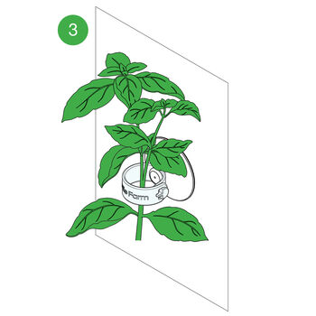 Bottle Farm Grow Clips, Suction Pad Plant Clips, 6 of 7