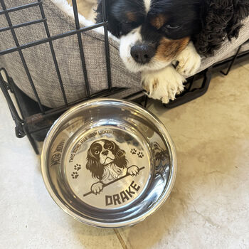 Personalised Dog Breed Licked Clean Food Bowl, 2 of 6