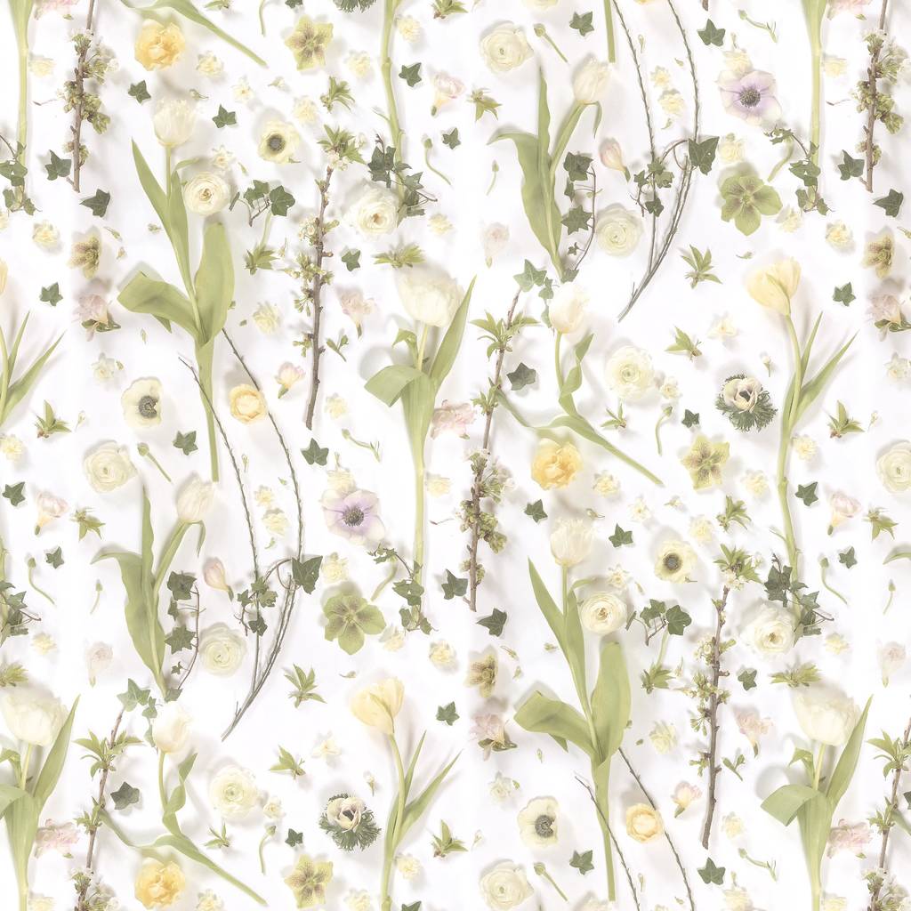 Springtime Wallpaper By Woodchip And Magnolia By Woodchip & Magnolia