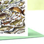 Freshwater Fish Of Britain Greeting Card, thumbnail 3 of 7