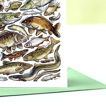 Freshwater Fish Of Britain Greeting Card, 3 of 7