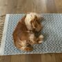 Natural Eco Cotton Rugs, thumbnail 1 of 4