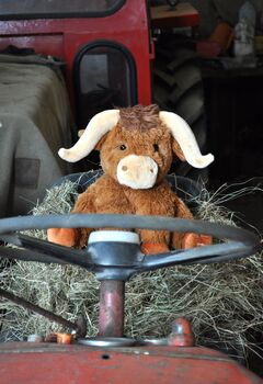 Personalised Longhorn Highland Cow Large Soft Plush Toy, 6 of 6