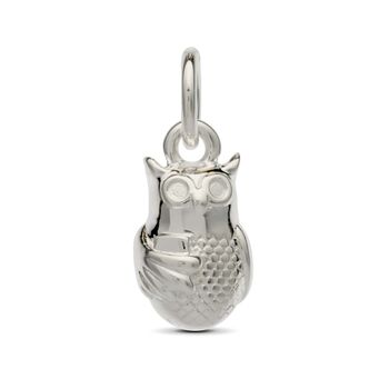 Wise Owl Personalised Charm, Necklace Or Bracelet, 6 of 9