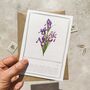 Set Of Six Different Purple And Blue Floral Notecards, thumbnail 4 of 11