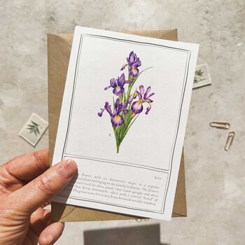 Set Of Six Different Purple And Blue Floral Notecards, 4 of 11