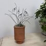 Wire Snowdrops In Handmade Terracotta Pot, thumbnail 8 of 8