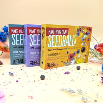 Seed Ball Making Activity Kit With Bee Friendly Wildflower Seeds, 3 of 12
