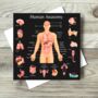 Human Anatomy And Human Skeletal System, thumbnail 7 of 8