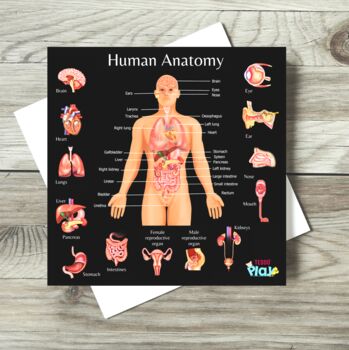 Human Anatomy And Human Skeletal System, 7 of 8