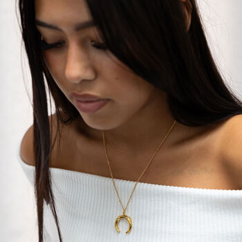 Vintage Horn Pendant Necklace, 2 of 3