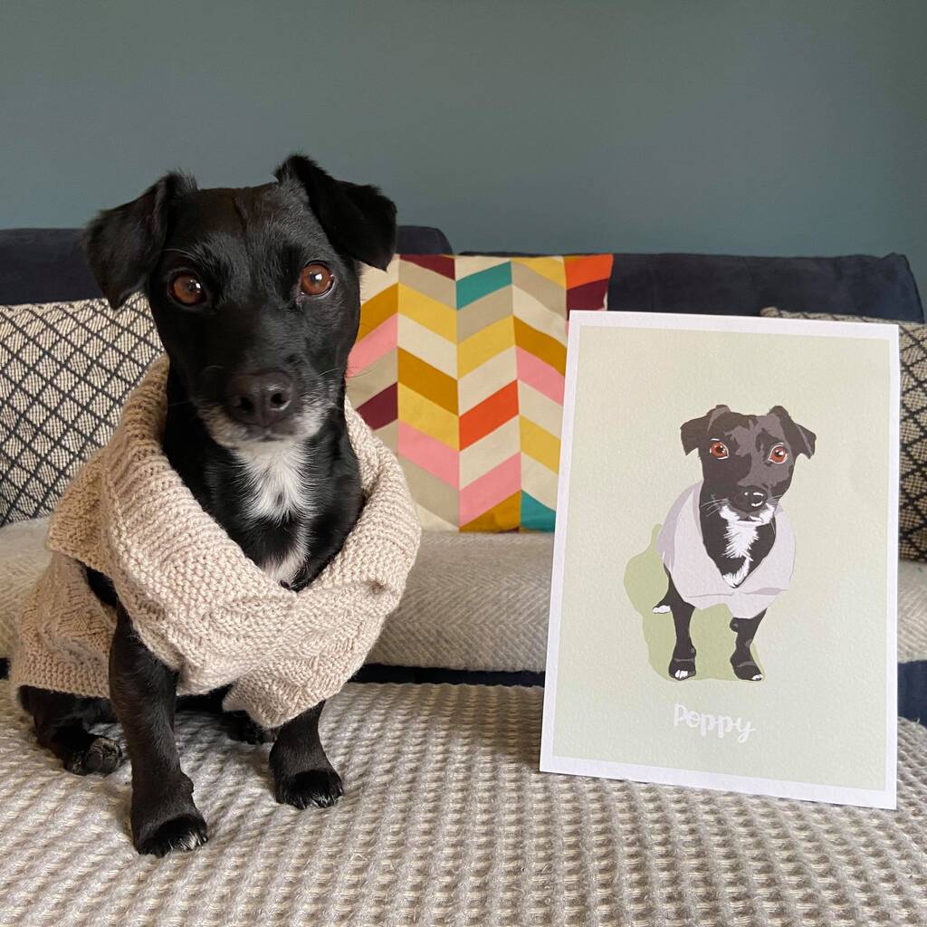Personalised Hand Drawn Colour Pet Portrait, 1 of 11
