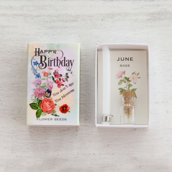 June Birth Flower Rose Seeds And Birthday Candle Gift, 3 of 9