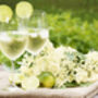 Fruit Plants Elderflower, thumbnail 5 of 12
